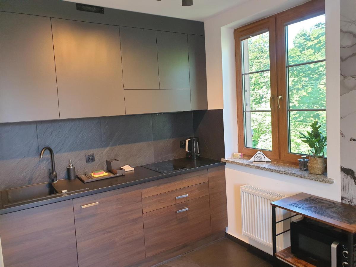Grafitowy Apartman Karpacz Kültér fotó